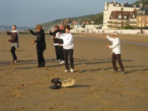 2010 Taiji sur la plage de Houlgate