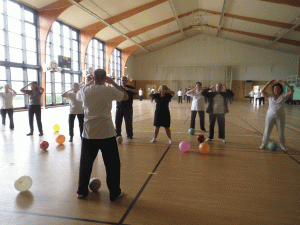 2016 Pratique du Taiji - la balle de Taiji -gymnase Coubertin